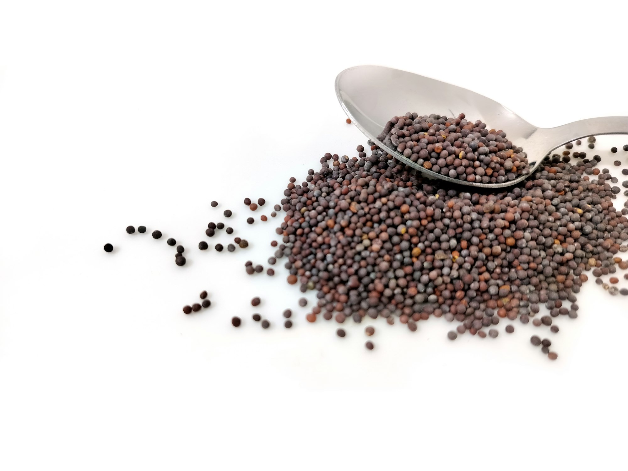 Whole mustard seeds spilling from a spoon