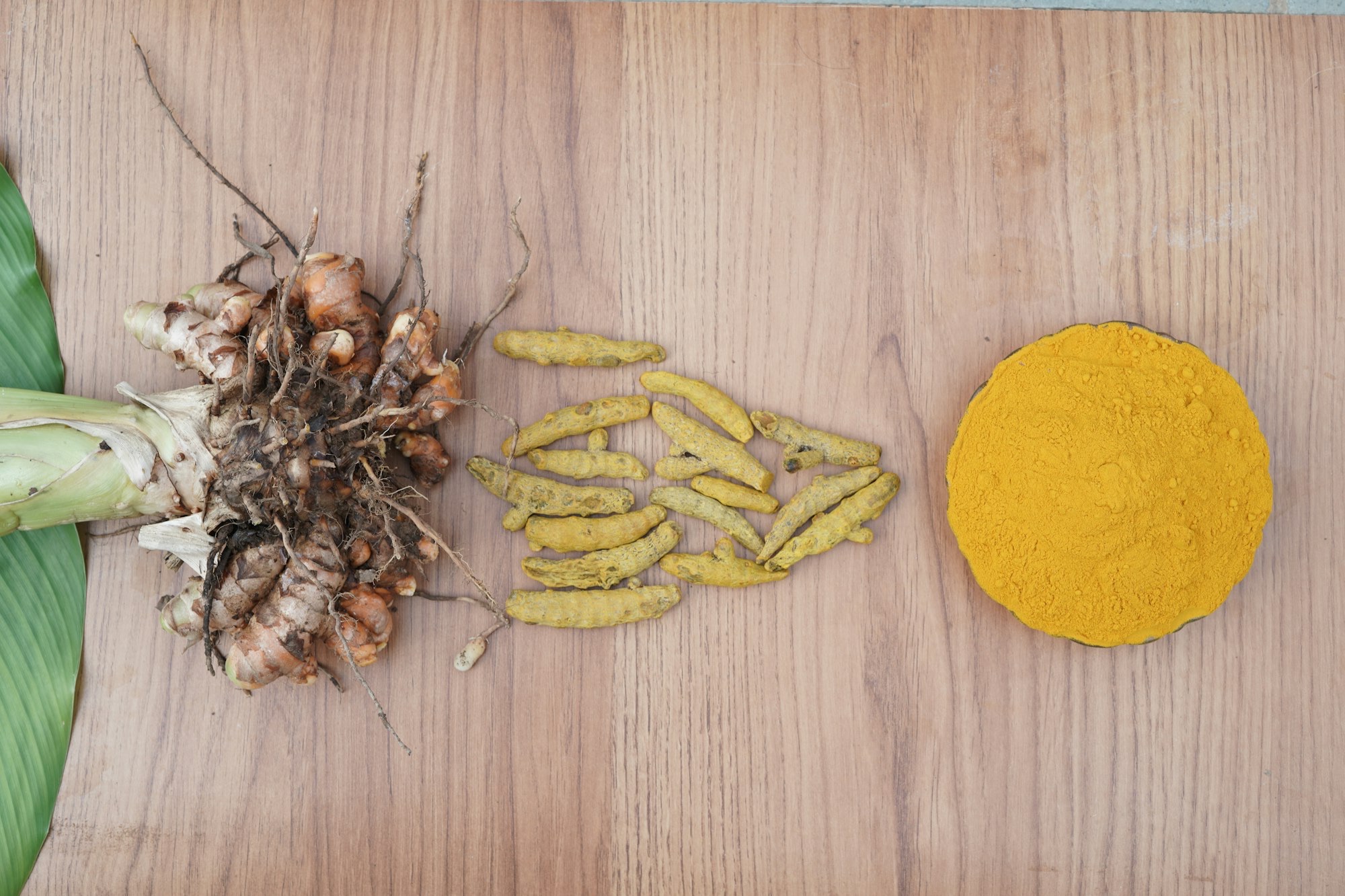 Fresh turmeric root, dried turmeric fingers, and ground turmeric powder side by side